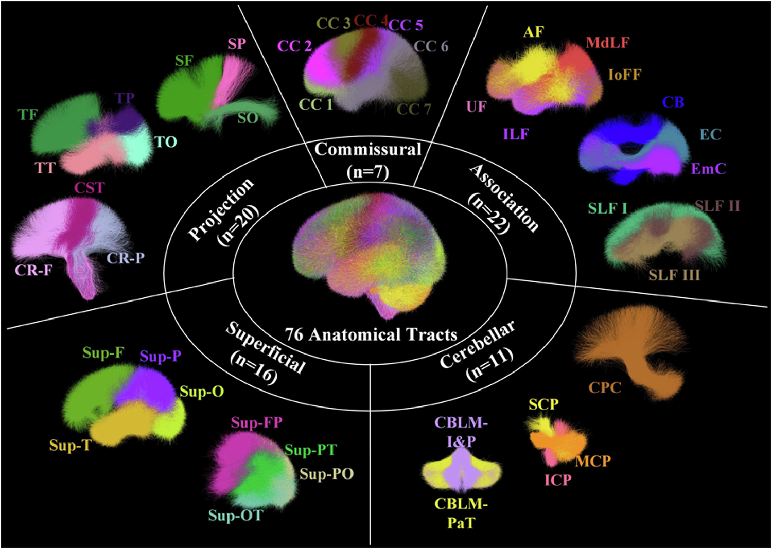 A Diffusion MRI Tractography Atlas for Concurrent White Matter Mapping Across Eastern and Western Populations